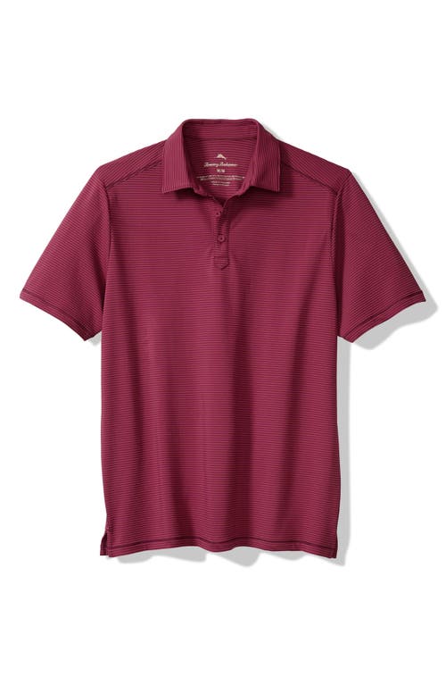 Tommy Bahama Costa Wave Polo In Burgundy