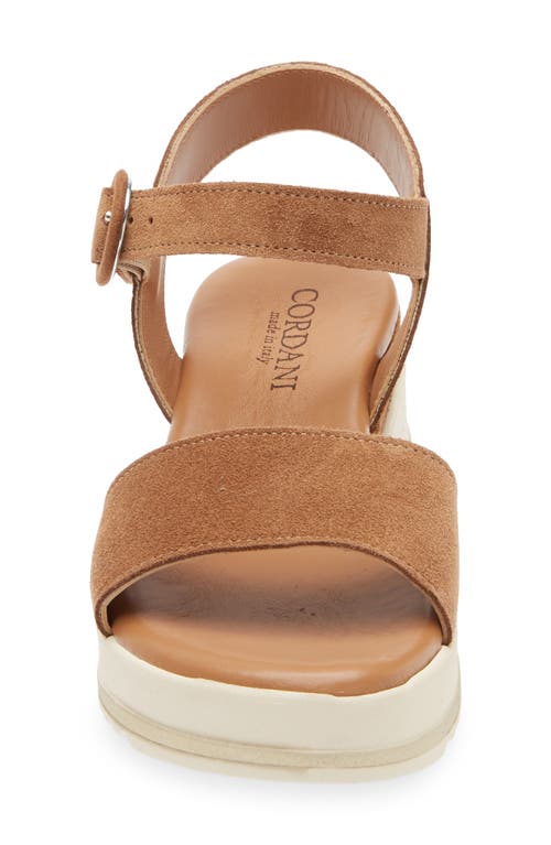 Cordani Arielle Ankle Strap Platform Wedge Sandal In Clove