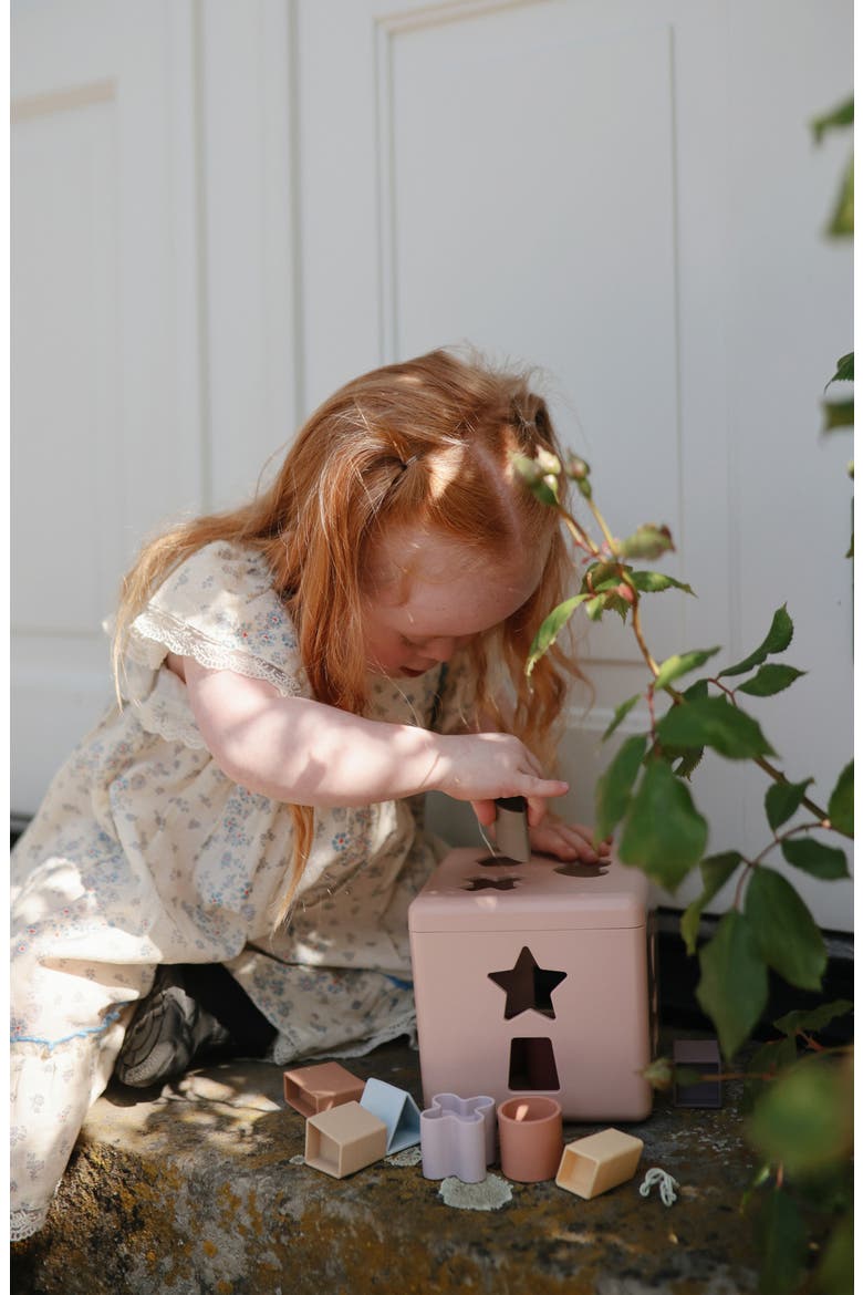 Shape Sorting Box, Alternate, color, PETAL
