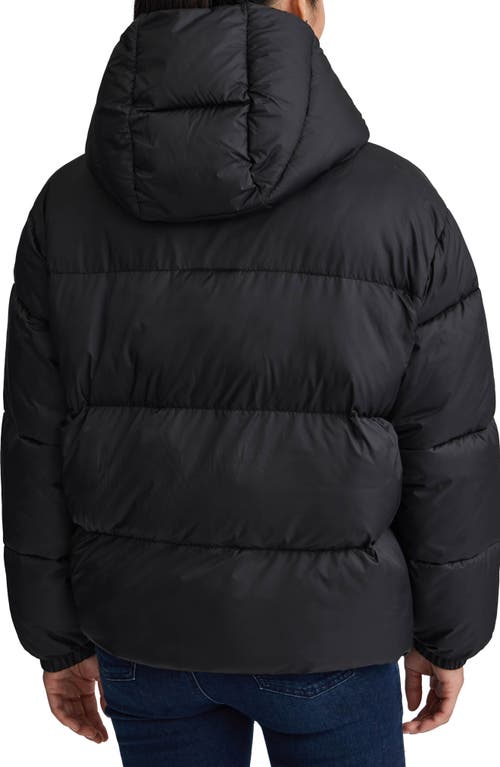 Nvlt Cire Wonder Puffer Jacket With Removable Hood In Black