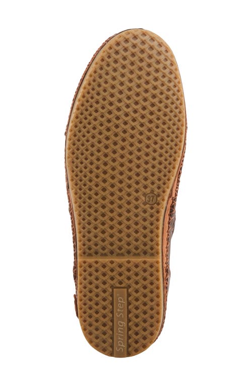 Spring Step In Brown