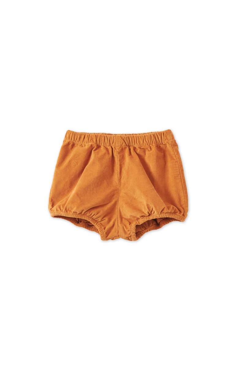 Vild House of Little Organic Cotton Velvet Bloomers, Main, color, Raw Sienna