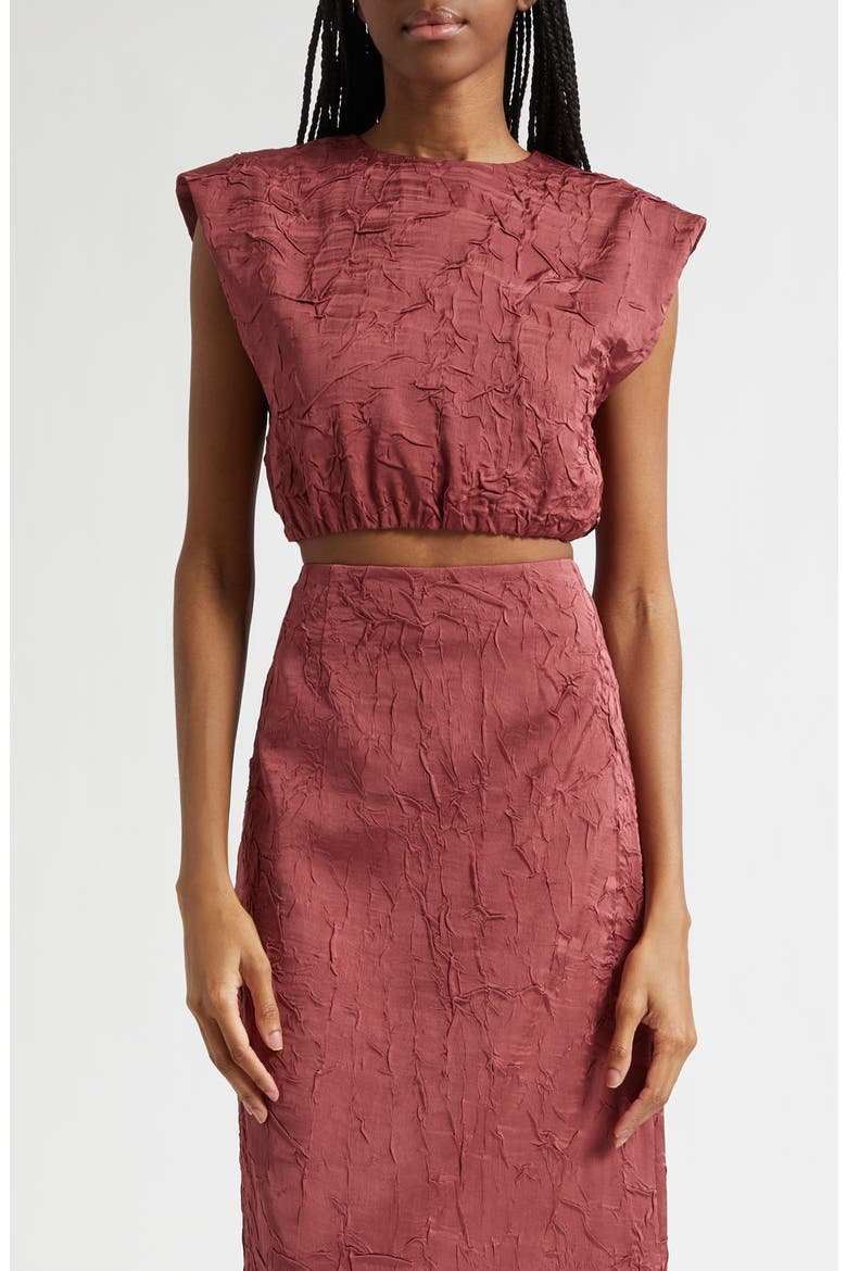 Gisella Crinkle Satin Crop Top, Main, color, FIG