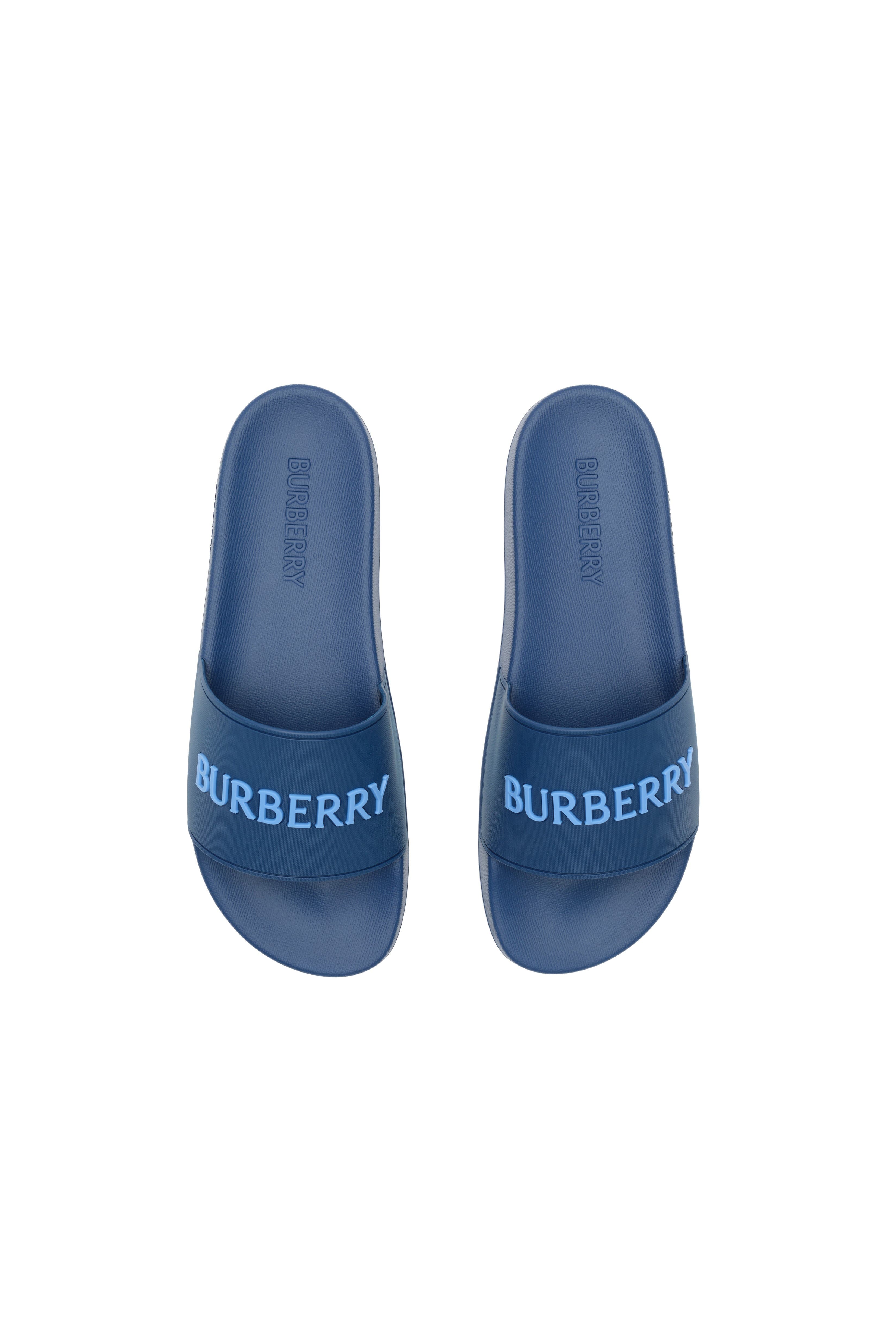 Logo Slides, Alternate, color, Navy/cornflower blue