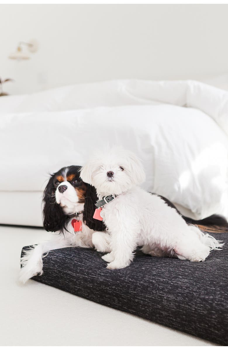 LAY LO Minimal Dog Bed, Alternate, color, Black