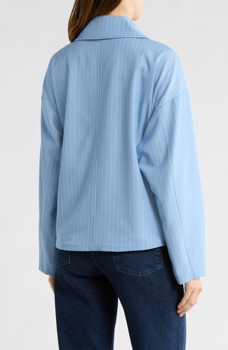 Bernardo Stripe Jacket, Alternate, color, Light Blue