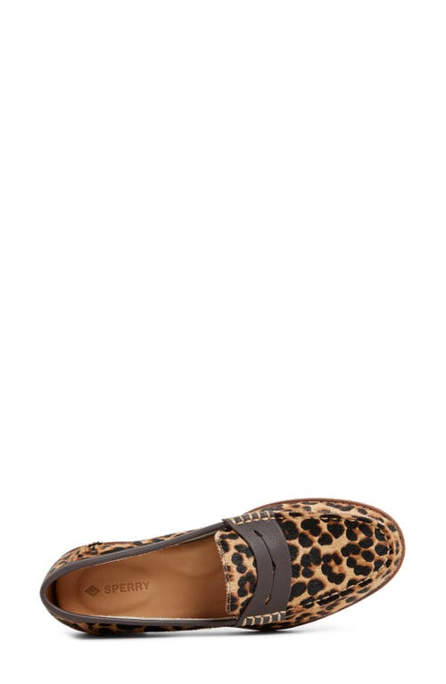 Sperry Seaport Genuine Calf Hair Penny Loafer In Brown