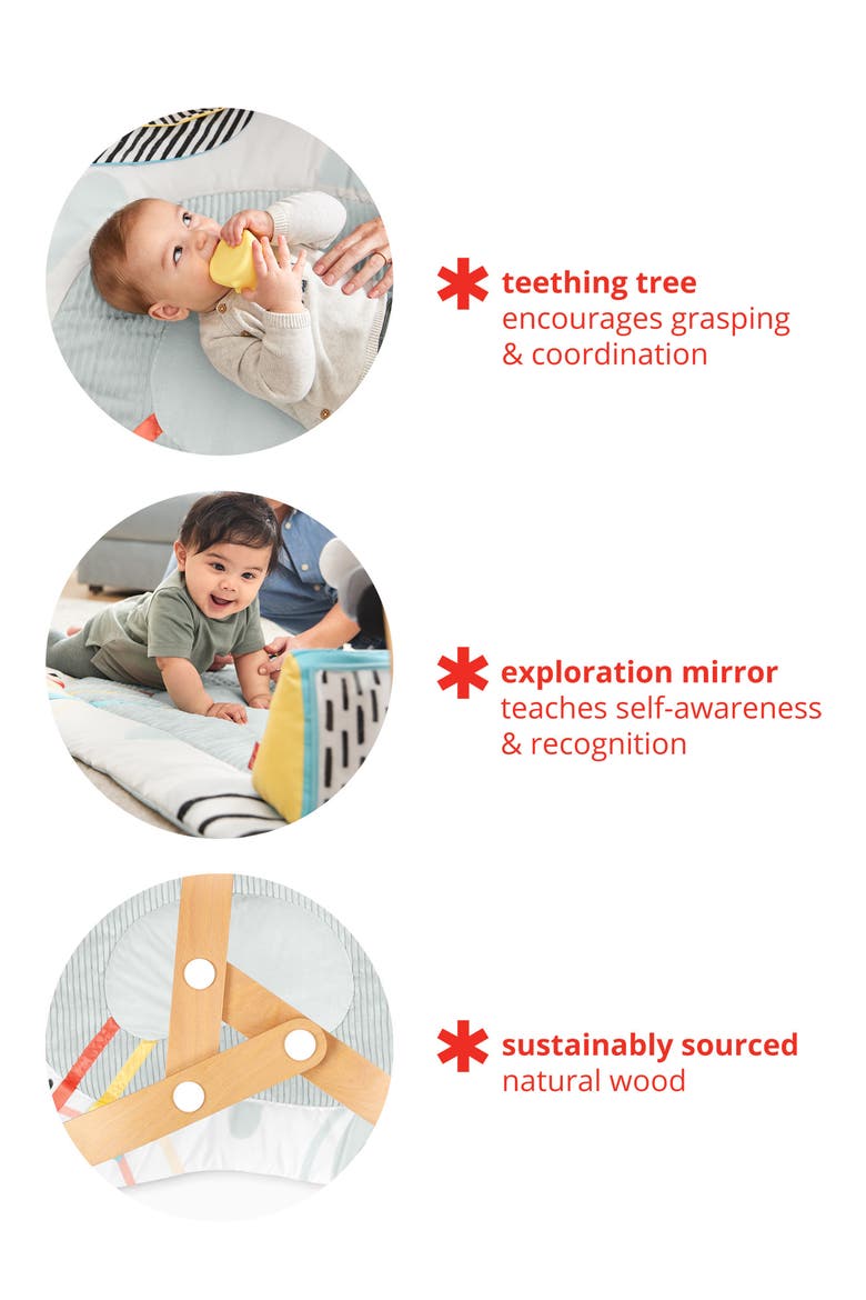 Discoverosity Montessori Inspired Wooden Play Gym, Alternate, color, MULTI