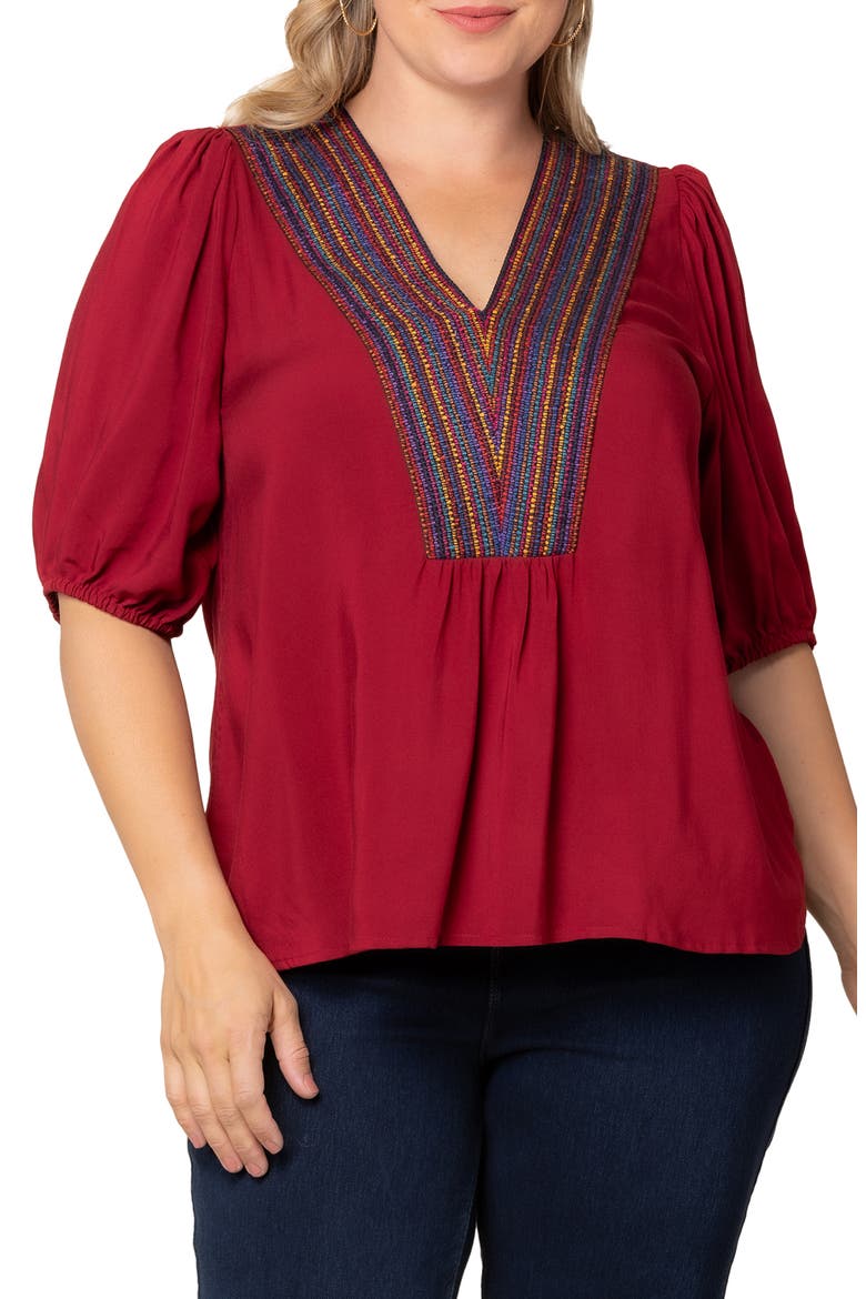 Tacoma Trimmed V-Neck Top, Alternate, color, CRIMSON RED
