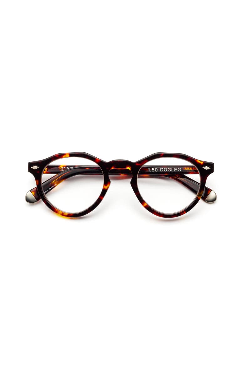 Dogleg | Reading Glasses, Main, color, Turtle