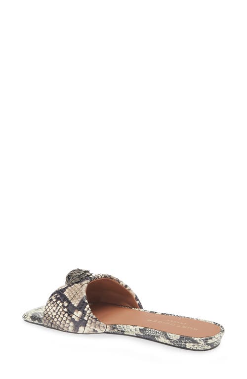 Kurt Geiger London Kensington Snakeskin Embossed Slide Sandal In Multi