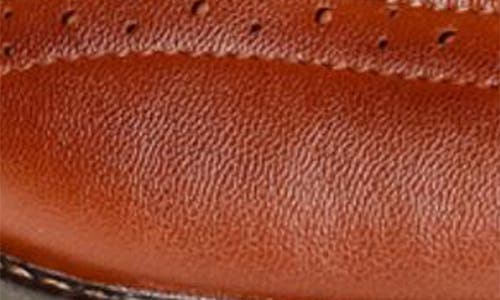 Gino Vitale Two-tone Wingtip Oxford In Brown
