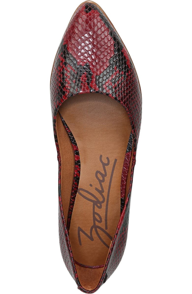 Zodiac Hill Pointy Toe Flat, Alternate, color, Red Leather