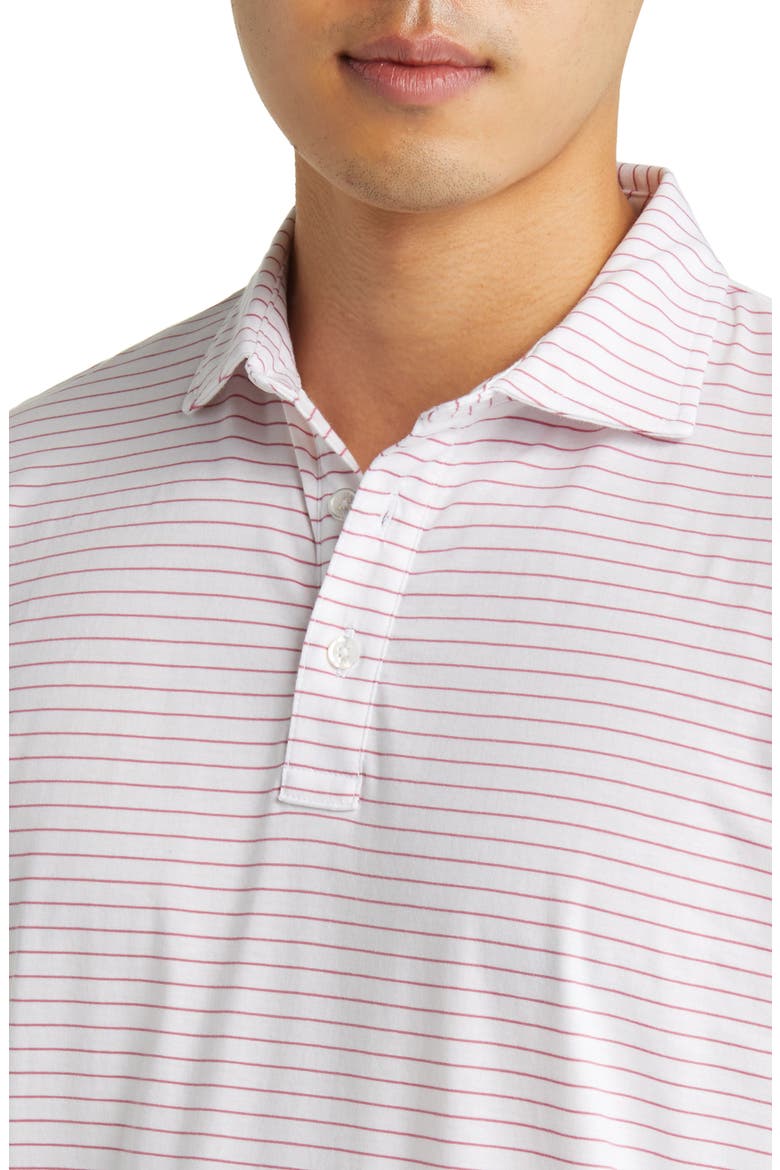 Pilot Mill Cedar Stripe Polo, Alternate, color, WHITE
