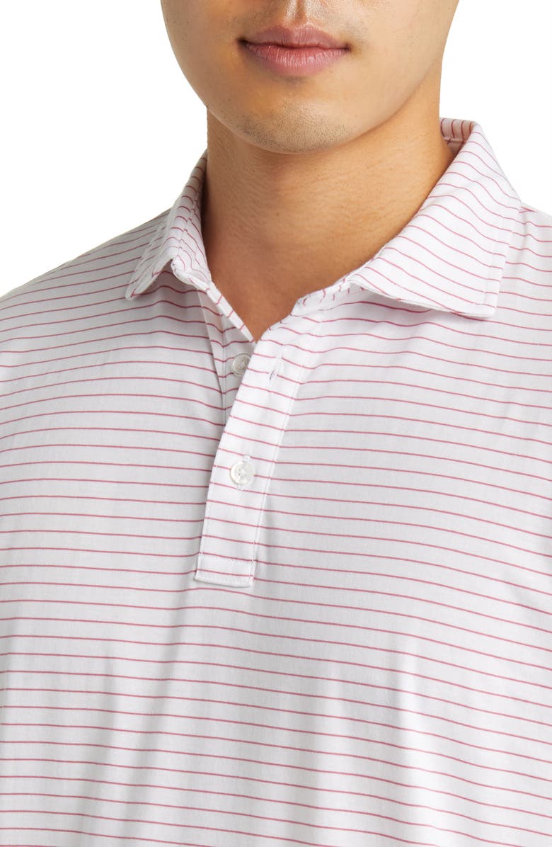 Peter Millar Pilot Mill Cedar Stripe Polo, Alternate, color, 