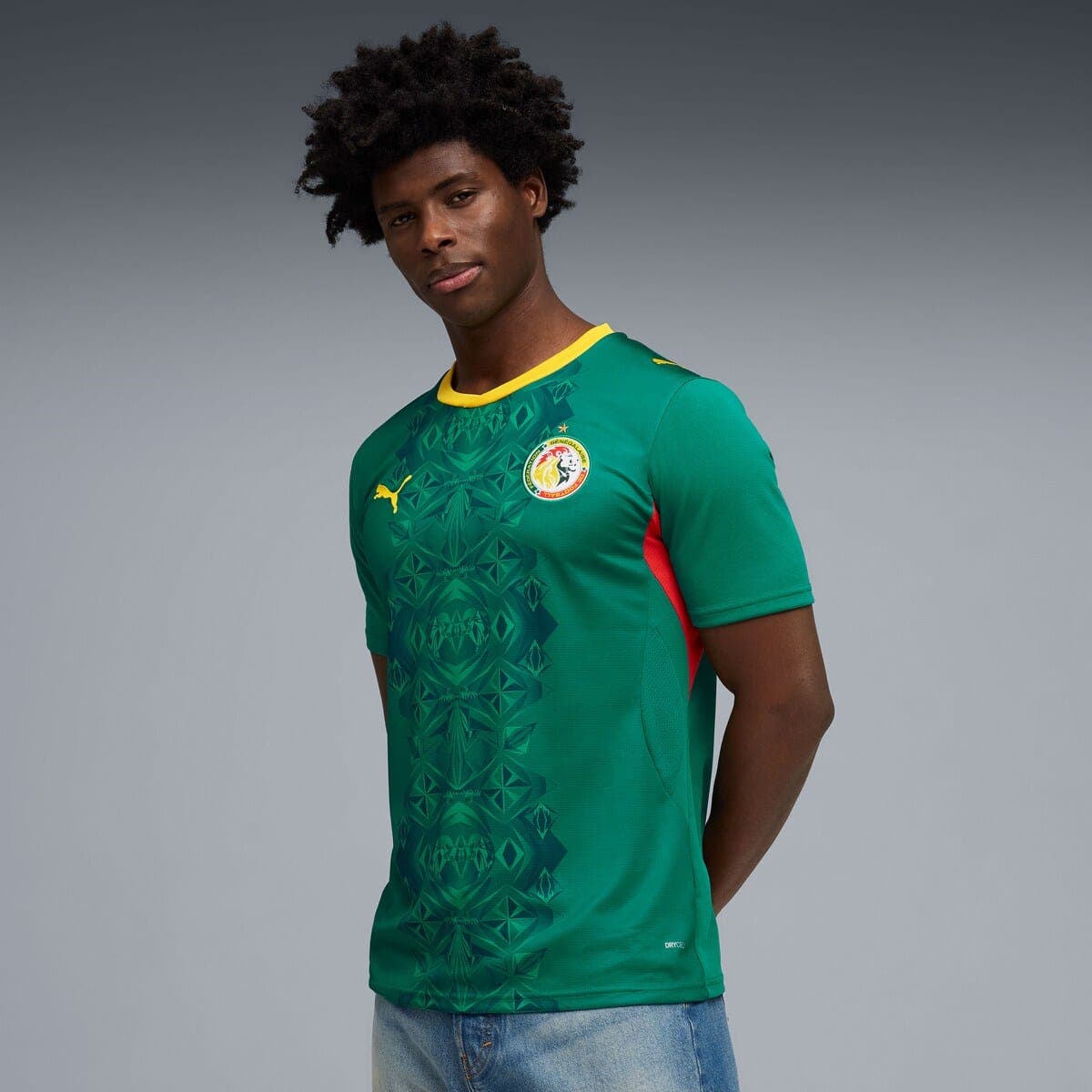 PUMA Men's Puma Green Senegal National Team 2026 Away Replica