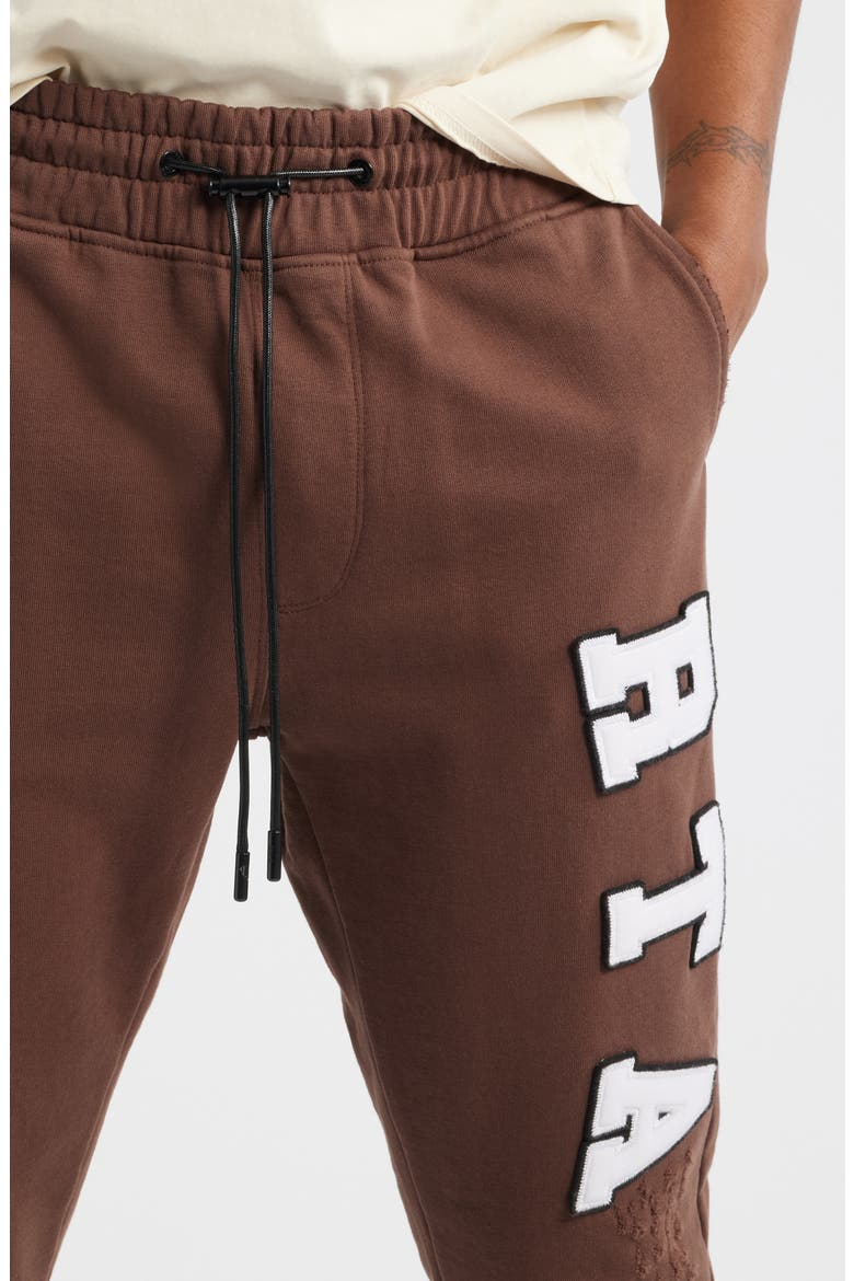 Owen Collegiate Distressed Joggers, Alternate, color, BROWN COLLEGIATE