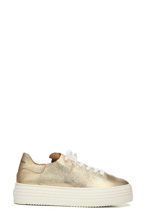 Sam Edelman Pippy Platform Sneaker