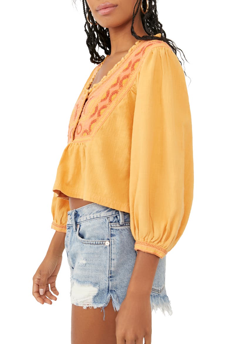 Iggie Embroidered Blouse, Alternate, color, CAIRO COMBO