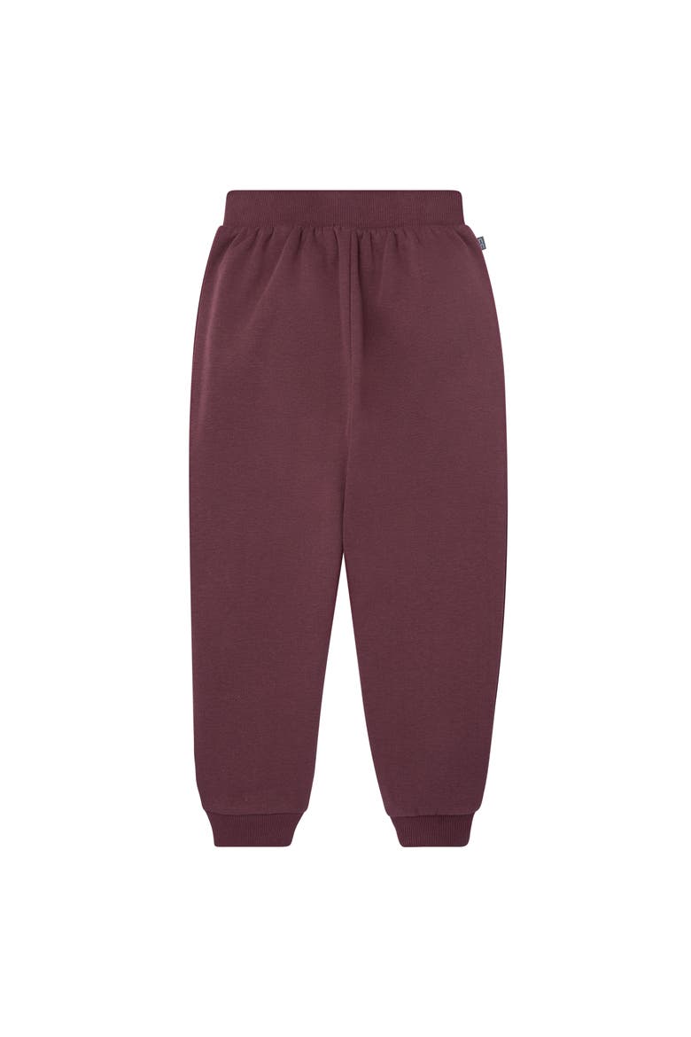 Embroidered Floral Sweatshirt and Jogger Set, Alternate, color, Purple