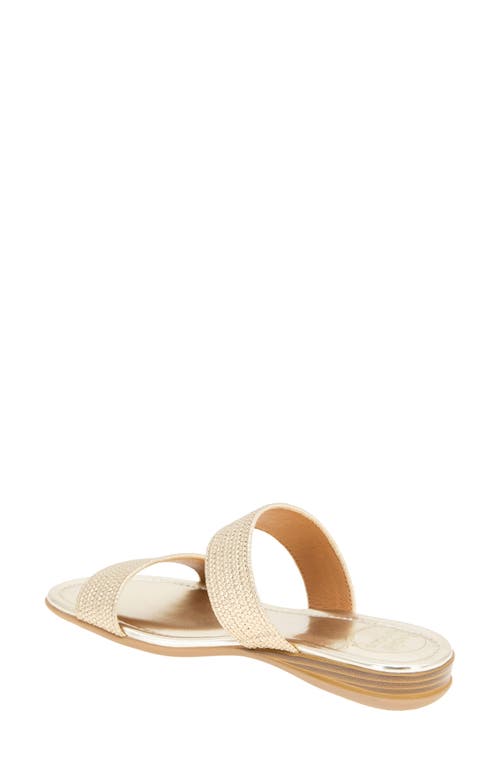 Andre Assous André Assous Nabila Flat Sandal
