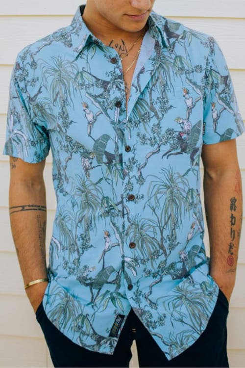 Baja Llama Men's Blue On Our Way Up - Vagabond Button Up In Green