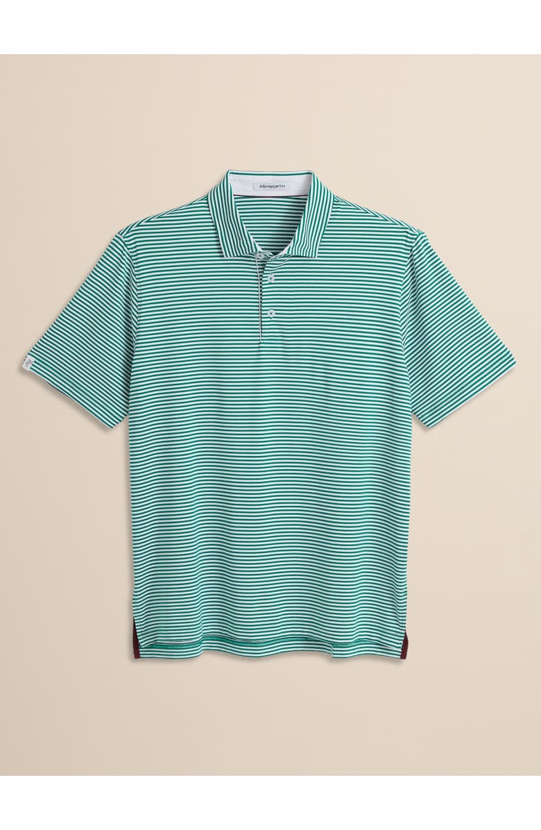 ASHWORTH GOLF Fairway Polo, Main, color, Club Green/White