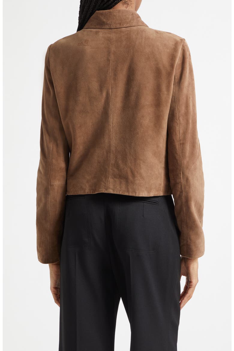 Dylan Suede Jacket, Alternate, color, TAUPE NEUTRAL