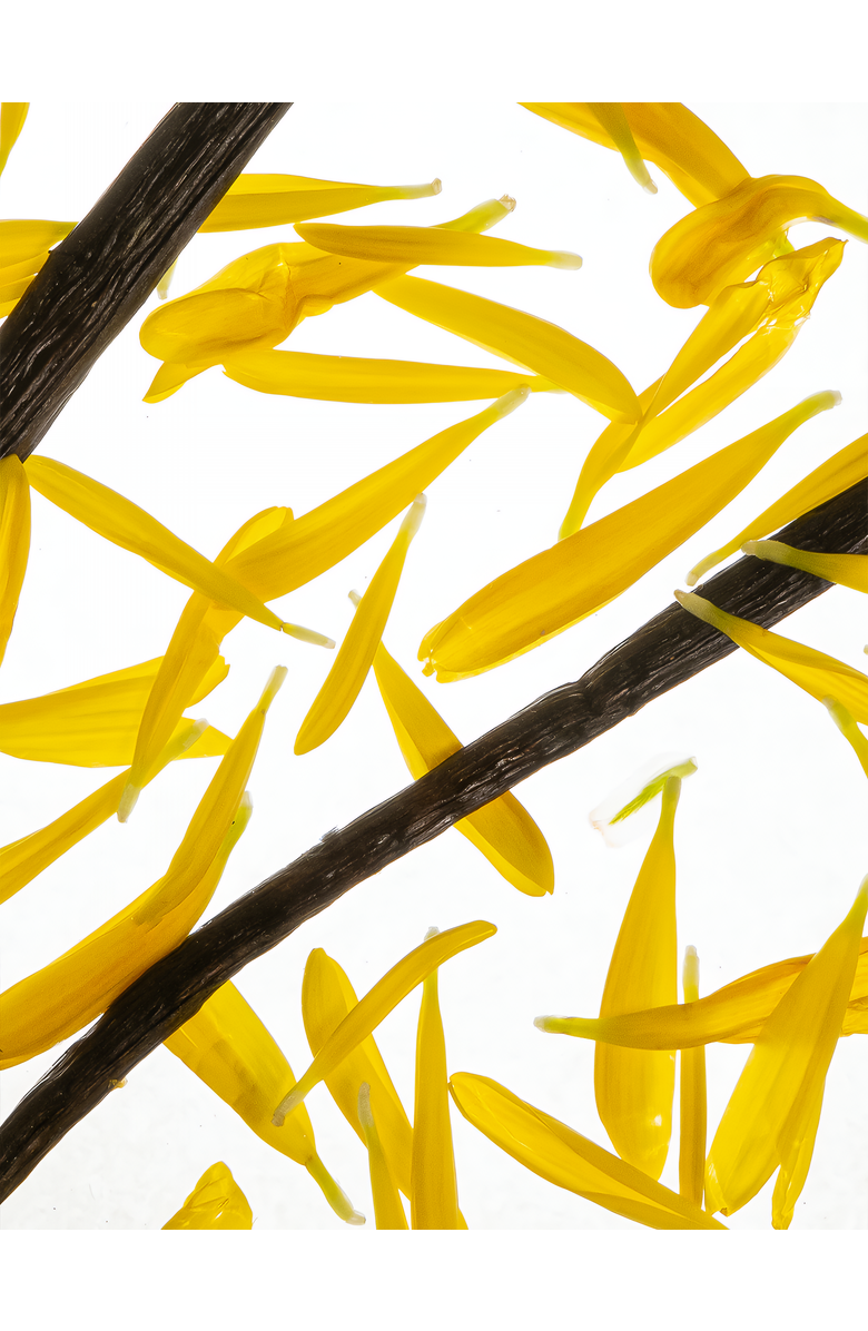 Esas NYC Fearless Organic Eau de Parfum - Leather & Sensual, Alternate, color, 0.33 Oz