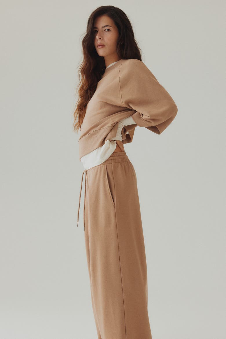 Pleat-detail Drawstring Trousers, Alternate, color, Dark beige