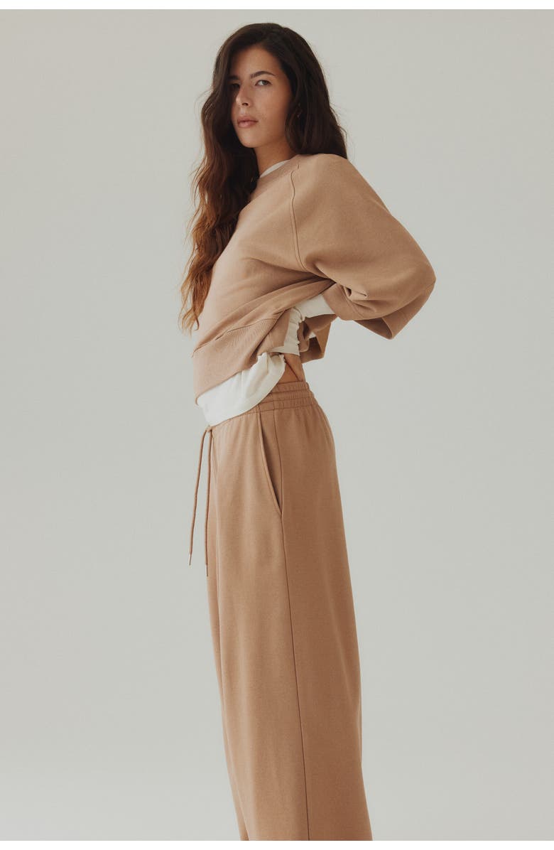 H&M Pleat-detail drawstring pants, Alternate, color, Dark Beige