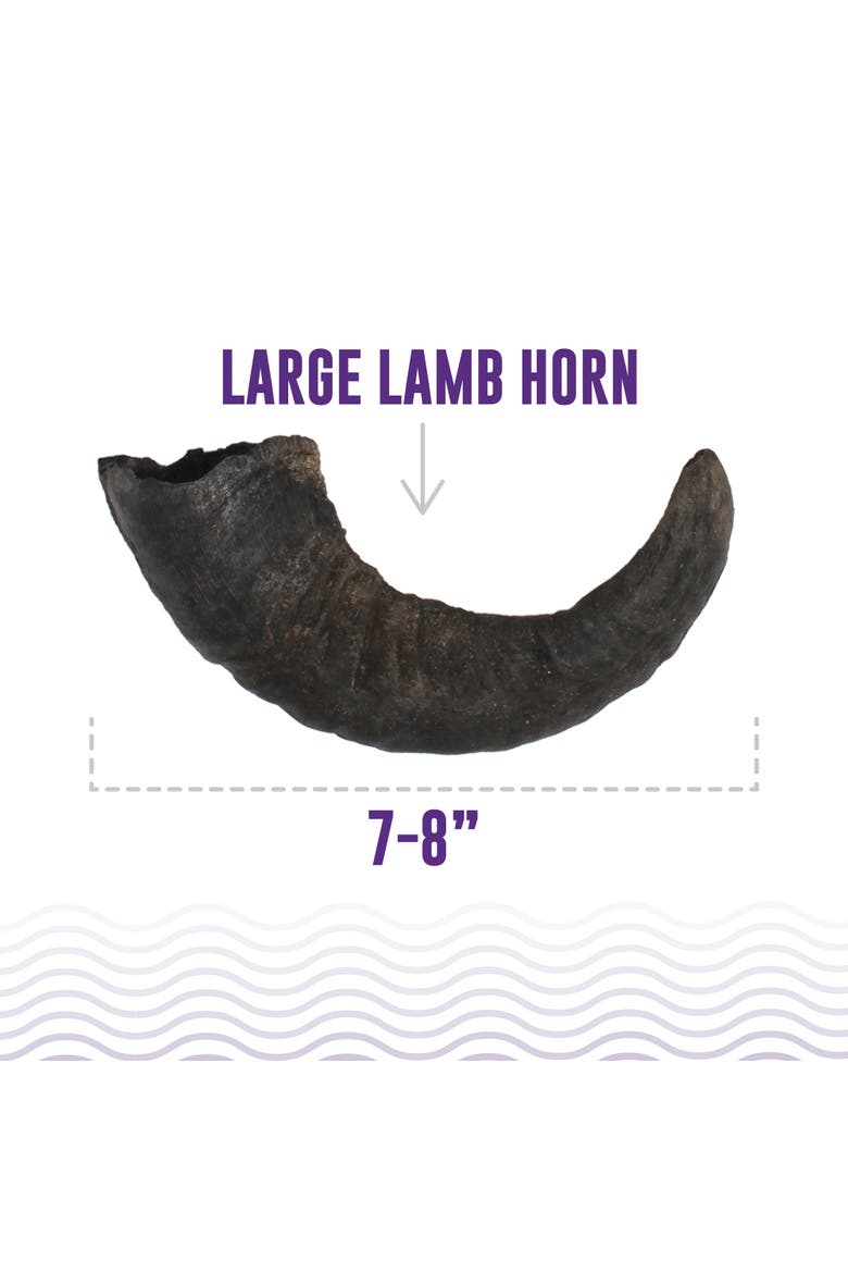 7 Inch Lamb Horn Dog Chews 12 Pack, Alternate, color, Multicolored