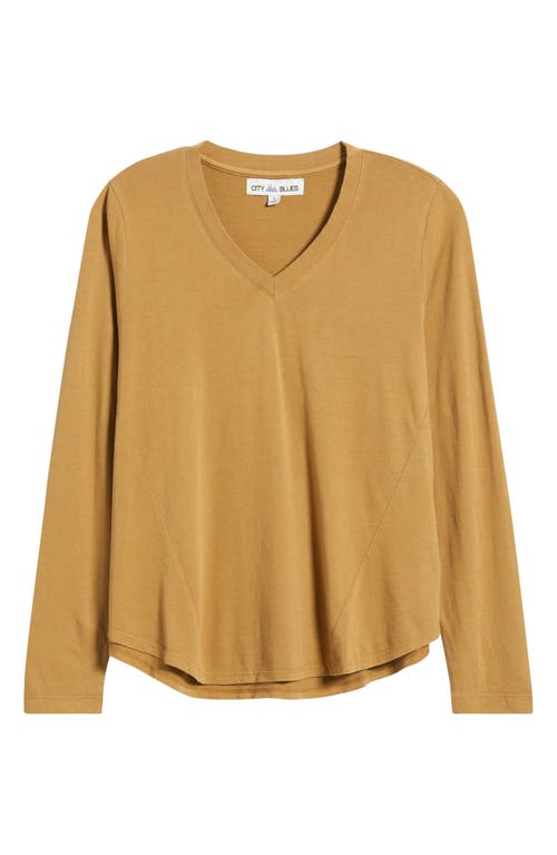 City Blues Beth Long Sleeve T-shirt In Brown