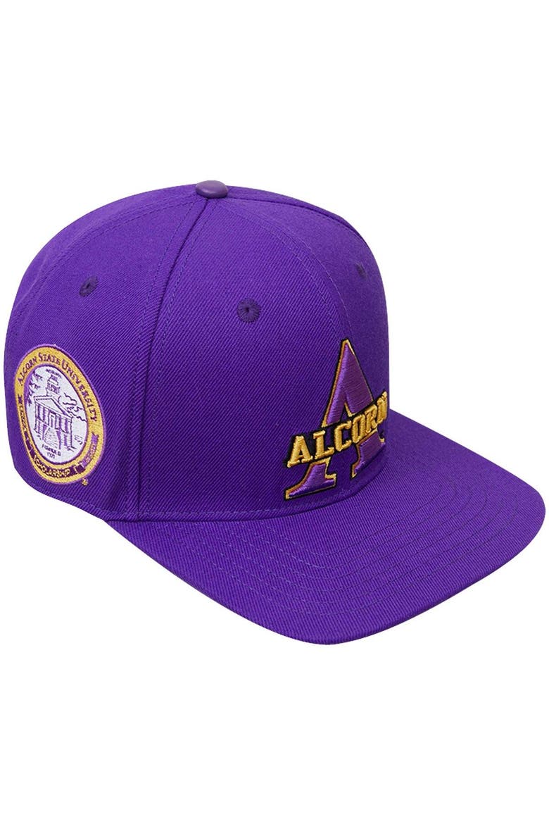 Men's Pro Standard  Purple Alcorn State Braves Evergreen Primary Logo Snapback Hat, Main, color, Purple