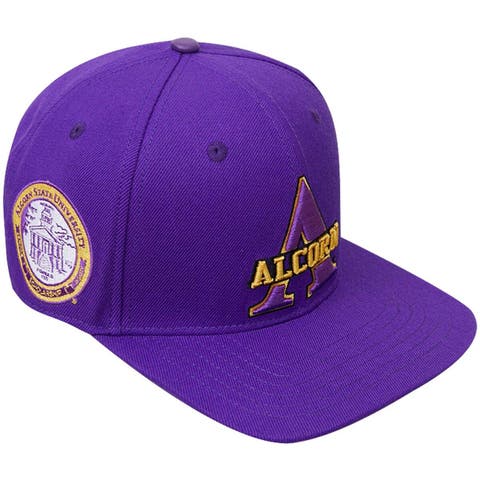 Men's Pro Standard  Purple Alcorn State Braves Evergreen Primary Logo Snapback Hat