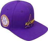PRO STANDARD Men's Pro Standard  Purple Alcorn State Braves Evergreen Primary Logo Snapback Hat