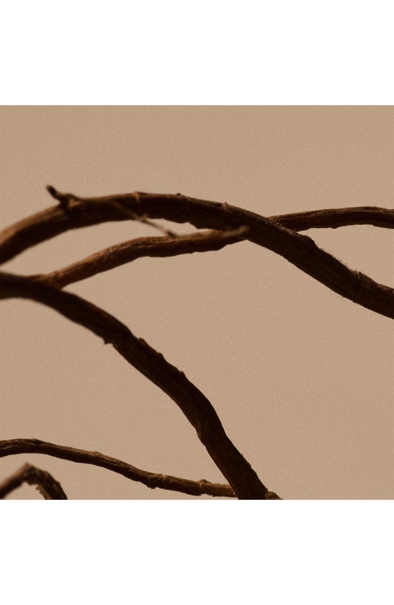 Aesop Solais Replenishing Hand Serum, Alternate, color, 