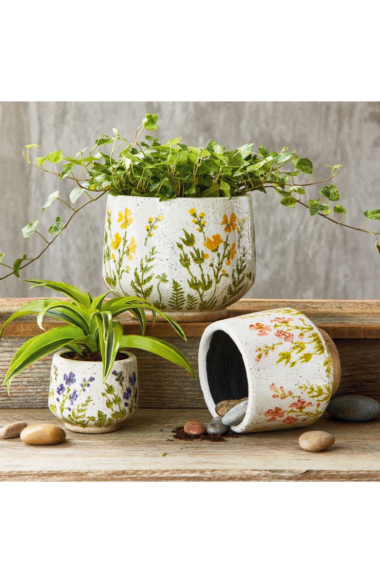 tag Wild Flower Footed Planter Large Multi Terracotta Spring, Alternate, color, Beige