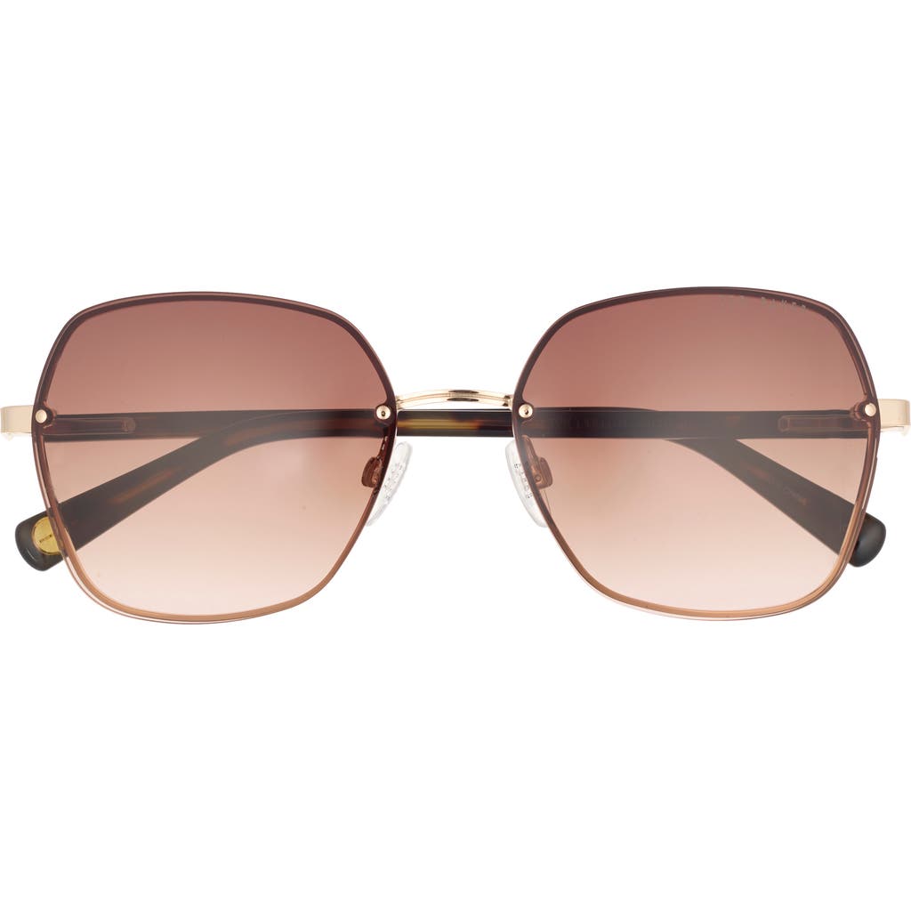 Ted Baker 59mm Gradient Square Sunglasses In Brown