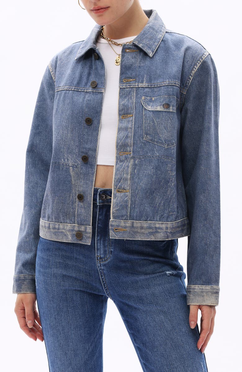 Bayeas Denim Trucker Jacket, Alternate, color, 
