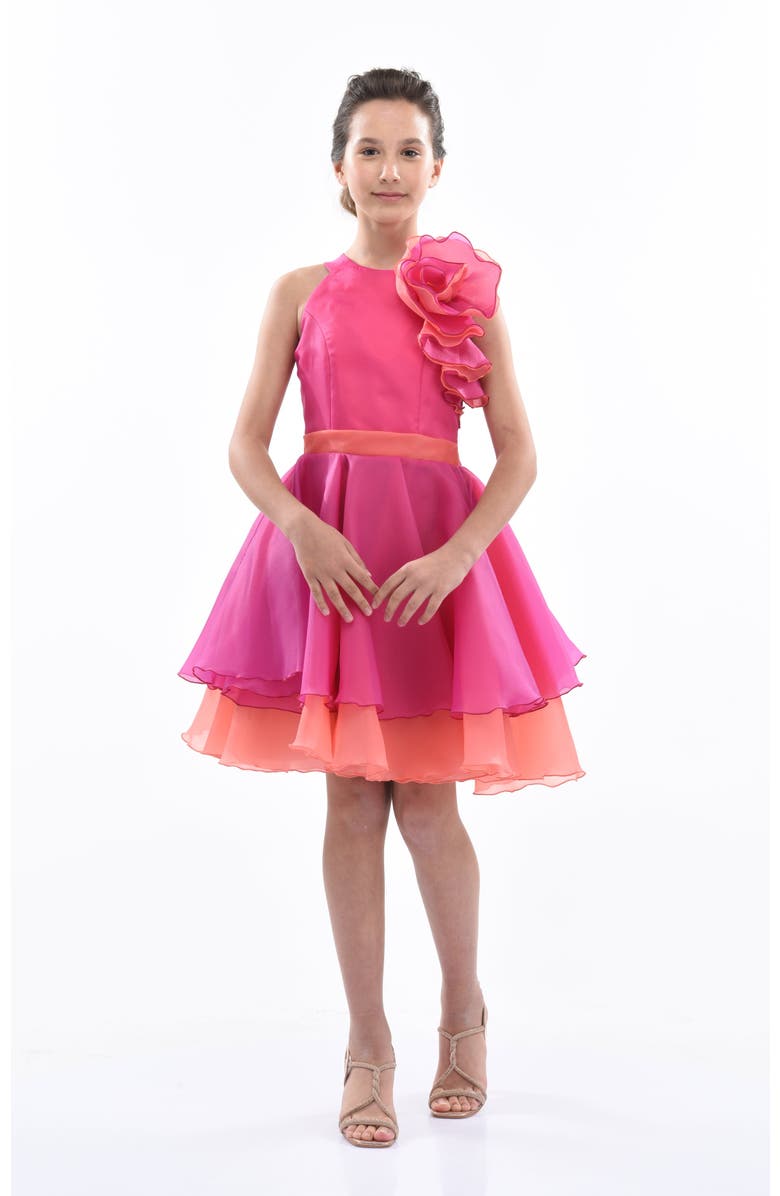 Tulleen Estancia Dress, Alternate, color, Fuchsia
