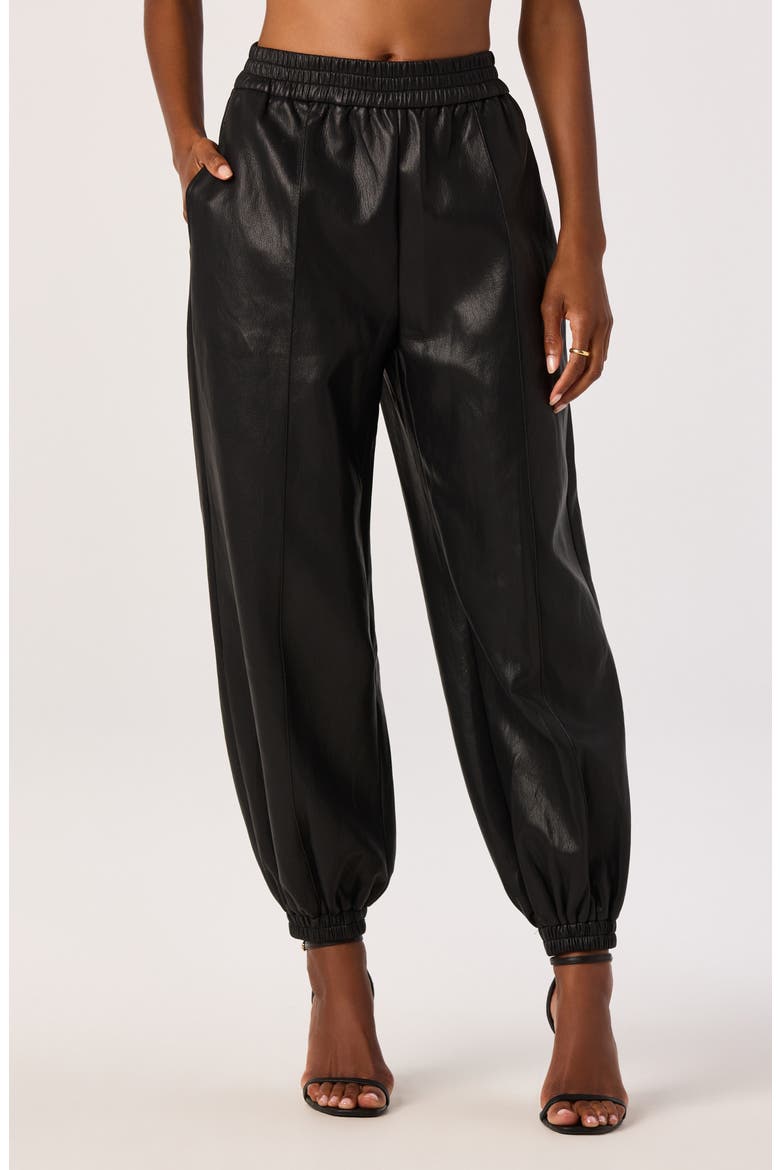 Adity Faux Leather Pants, Main, color, BLACK