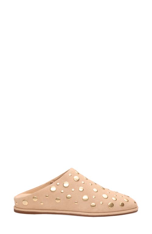 Sanctuary Bari Stud Mule In Nude