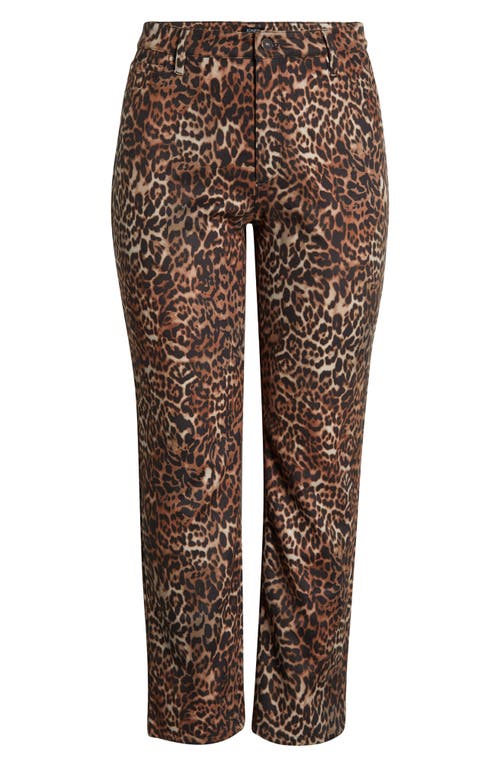Jones New York Plus Size Printed Lexington Straight-leg Pants In Brown