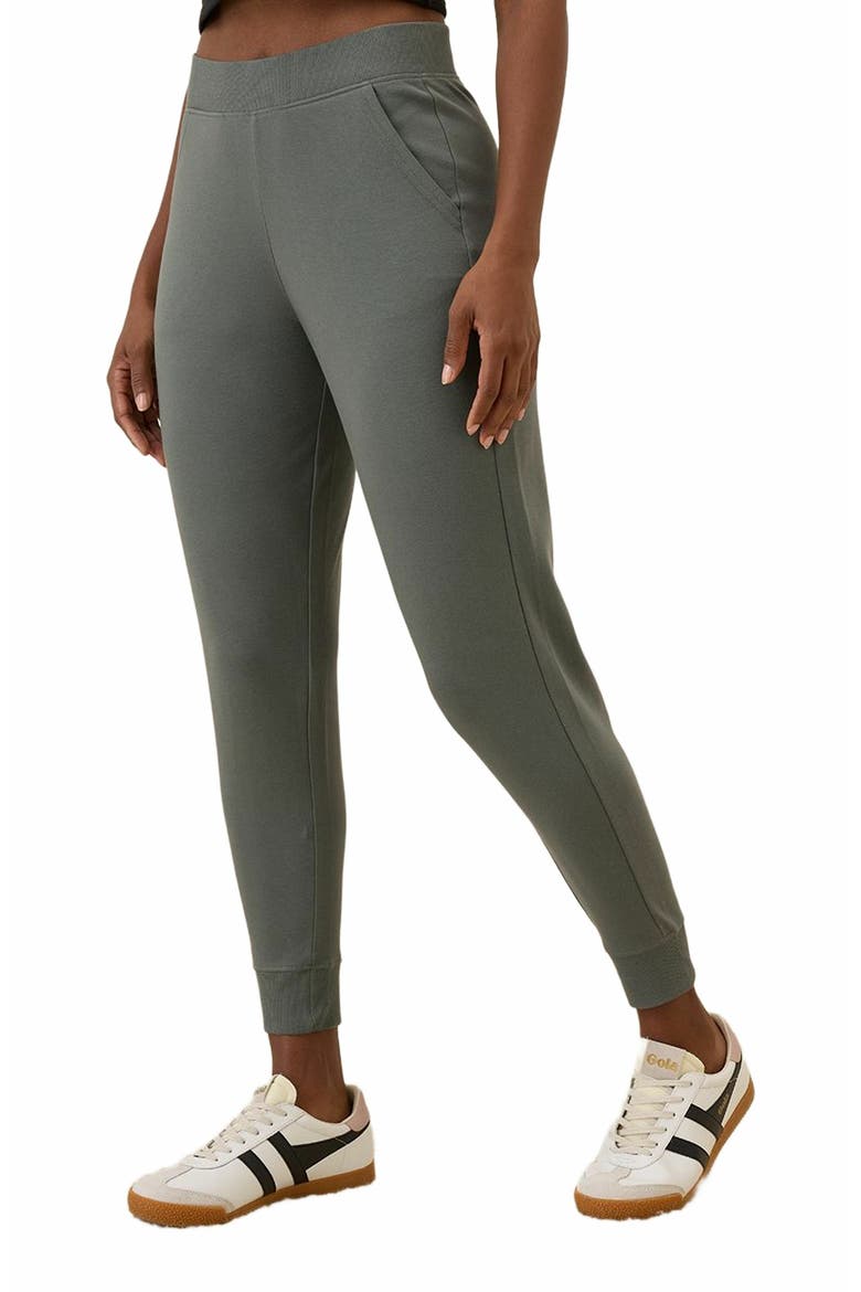 Everyday Airplane Joggers, Alternate, color, Castor Grey