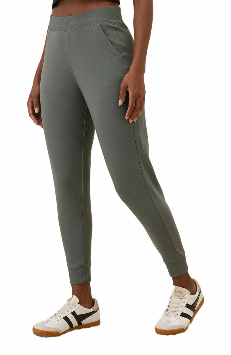 Pact Everyday Airplane Joggers, Alternate, color, Castor Grey
