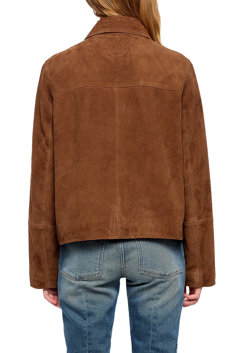 Lessa Suede Leather Jacket, Alternate, color, COGNAC
