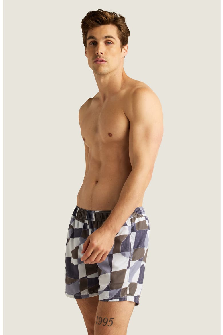 Sebastian Print 4-Inch Nylon Swim Trunks, Alternate, color, ABSTRACT GEO