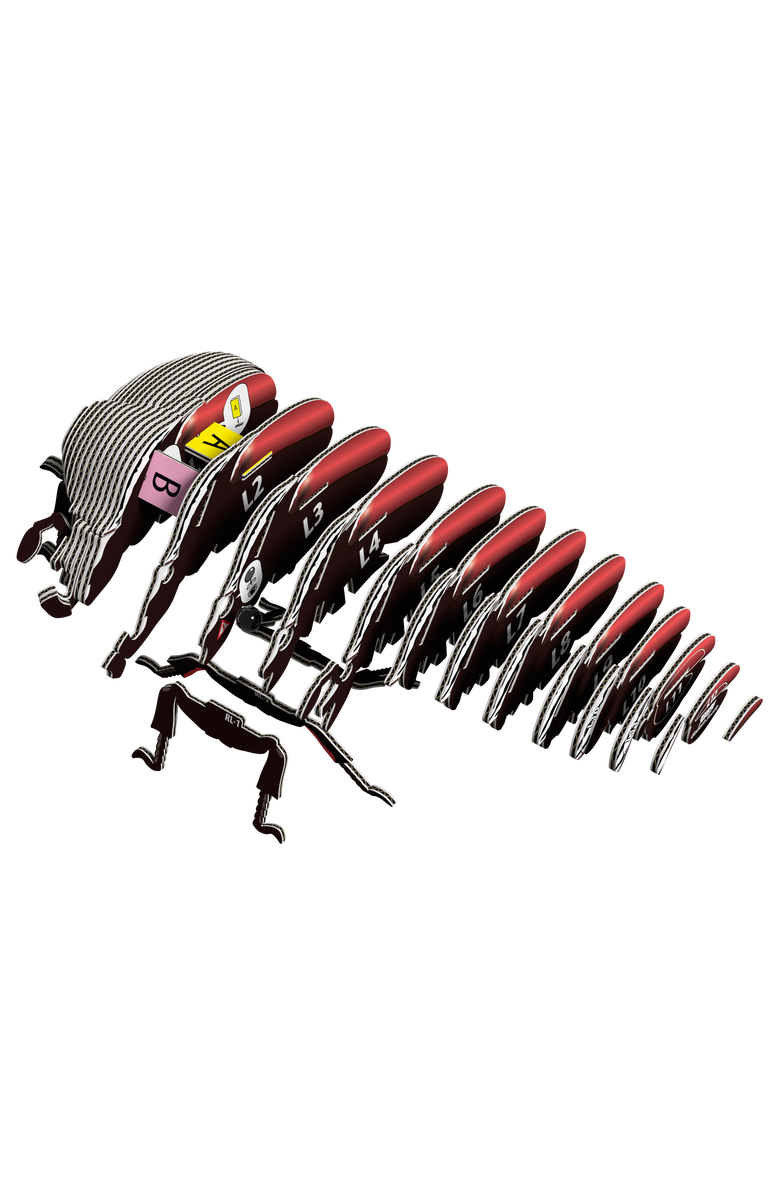 Eugy Puzzles Goliath Beetle 3D Puzzle, Alternate, color, NO COLOR