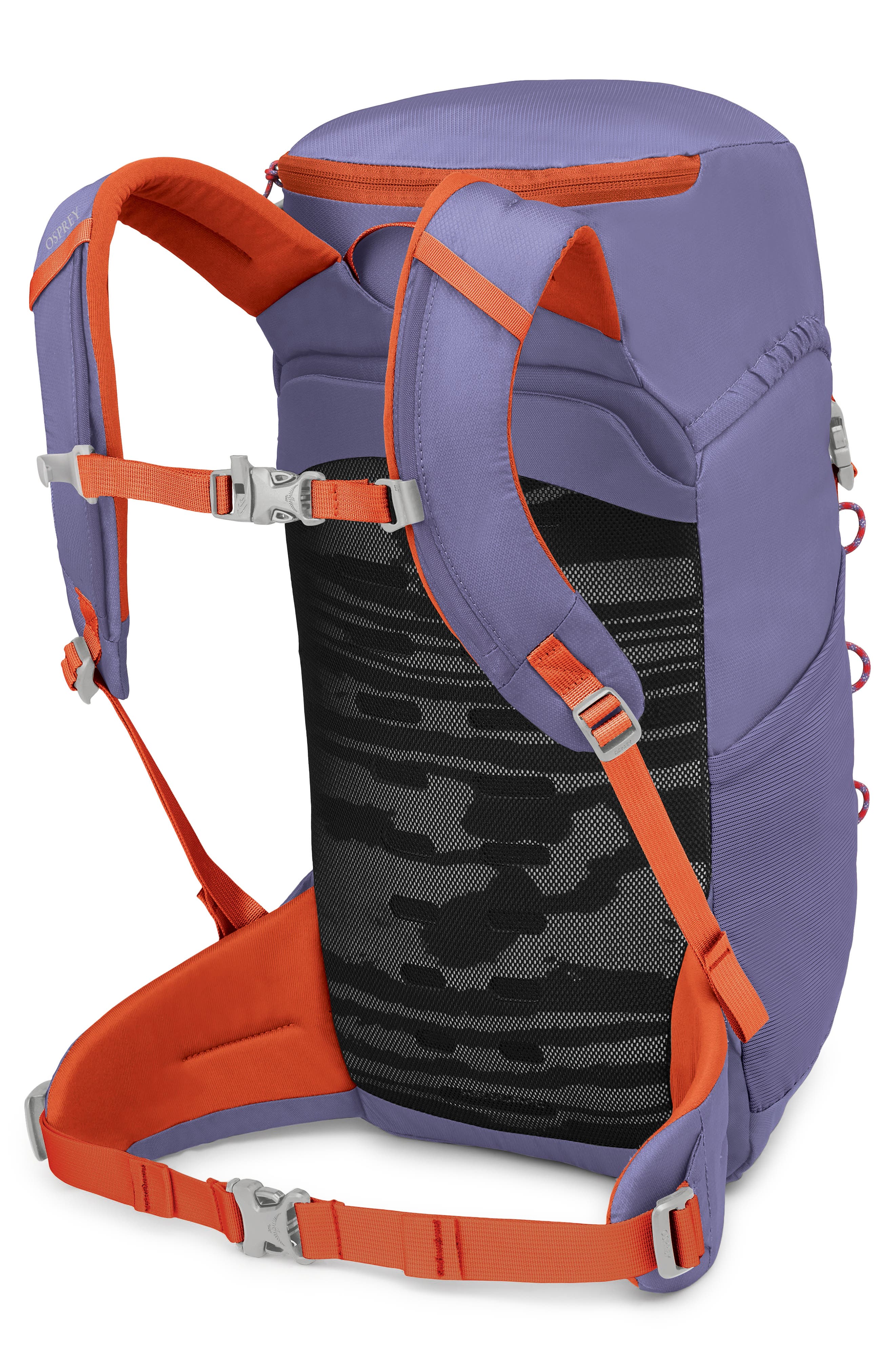 Kids' Jet 18-Liter Backpack, Alternate, color, EUPHORIA PURPLE